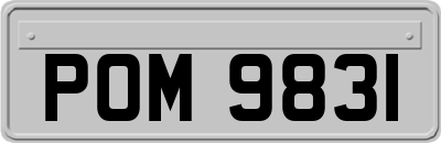 POM9831