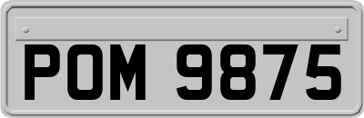POM9875