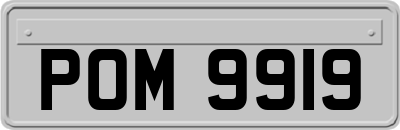POM9919