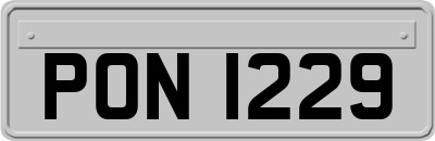 PON1229