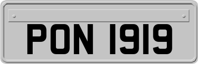 PON1919