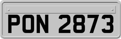 PON2873