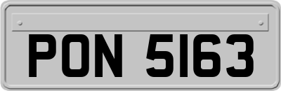 PON5163