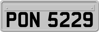 PON5229