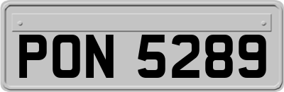 PON5289