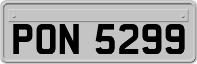 PON5299