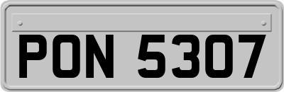 PON5307