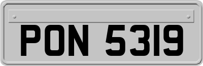 PON5319