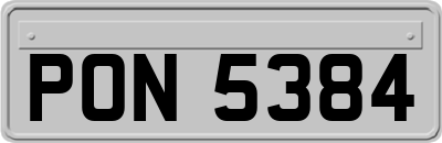 PON5384