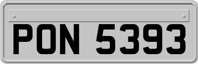 PON5393