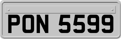 PON5599