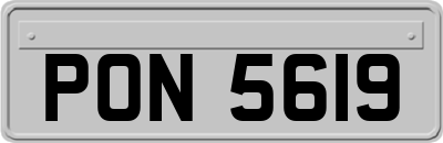 PON5619