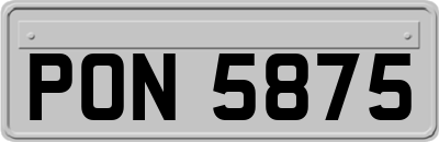 PON5875