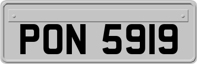 PON5919