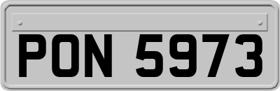 PON5973