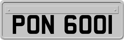 PON6001