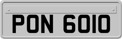 PON6010