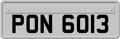 PON6013