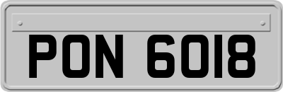 PON6018