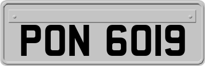 PON6019