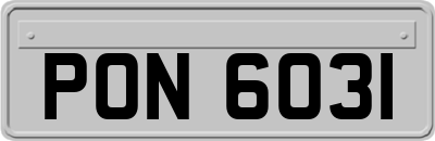 PON6031