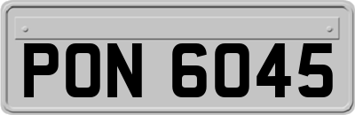 PON6045