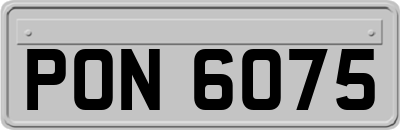 PON6075