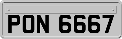 PON6667