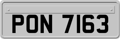 PON7163