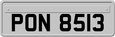 PON8513
