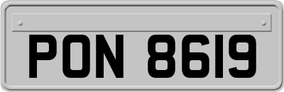 PON8619