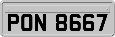 PON8667