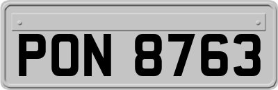 PON8763