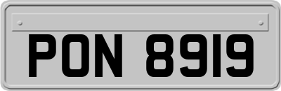 PON8919
