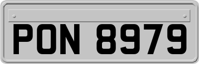 PON8979