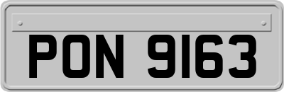 PON9163