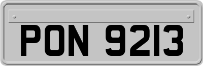 PON9213
