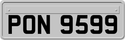 PON9599