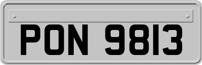 PON9813