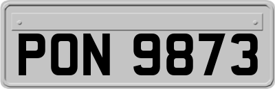 PON9873