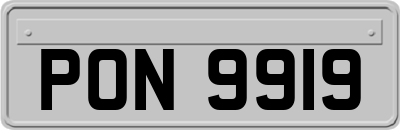 PON9919