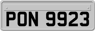 PON9923
