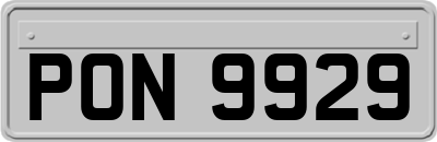 PON9929