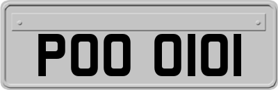 POO0101