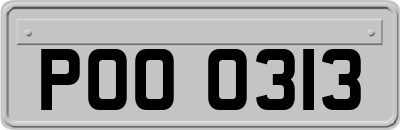 POO0313