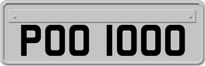 POO1000