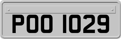 POO1029
