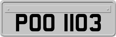 POO1103