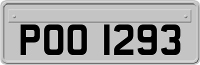 POO1293
