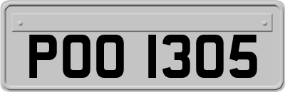 POO1305